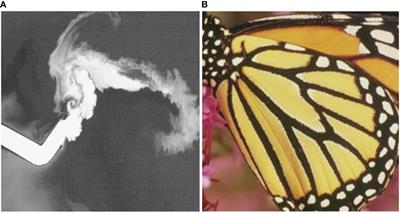 Super-resolution reconstruction of sea surface pollutant diffusion images based on deep learning models: a case study of thermal discharge from a coastal power plant